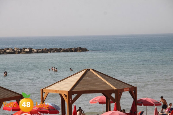 3reeqnorthyaffa407 (6).JPG